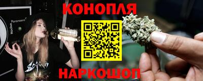 шишки Бузулук