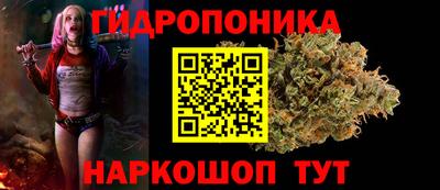 шишки Бузулук