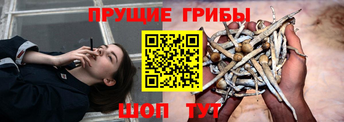 Галлюциногенные грибы мицелий  купить наркоту  Новокуйбышевск  Вход с VPN 